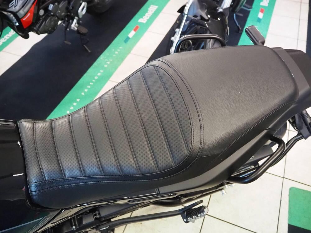 Benelli Leoncino 500 (2021 - 25) (7)