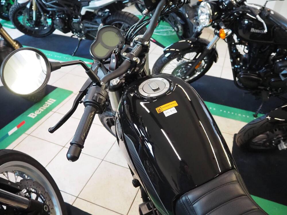 Benelli Leoncino 500 (2021 - 25) (8)