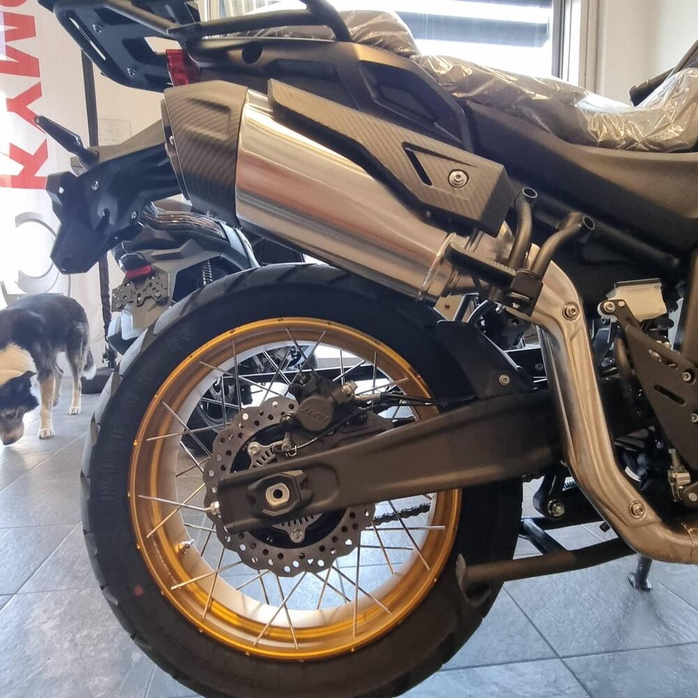 Voge Valico 625DSX (2025 - 26) (6)