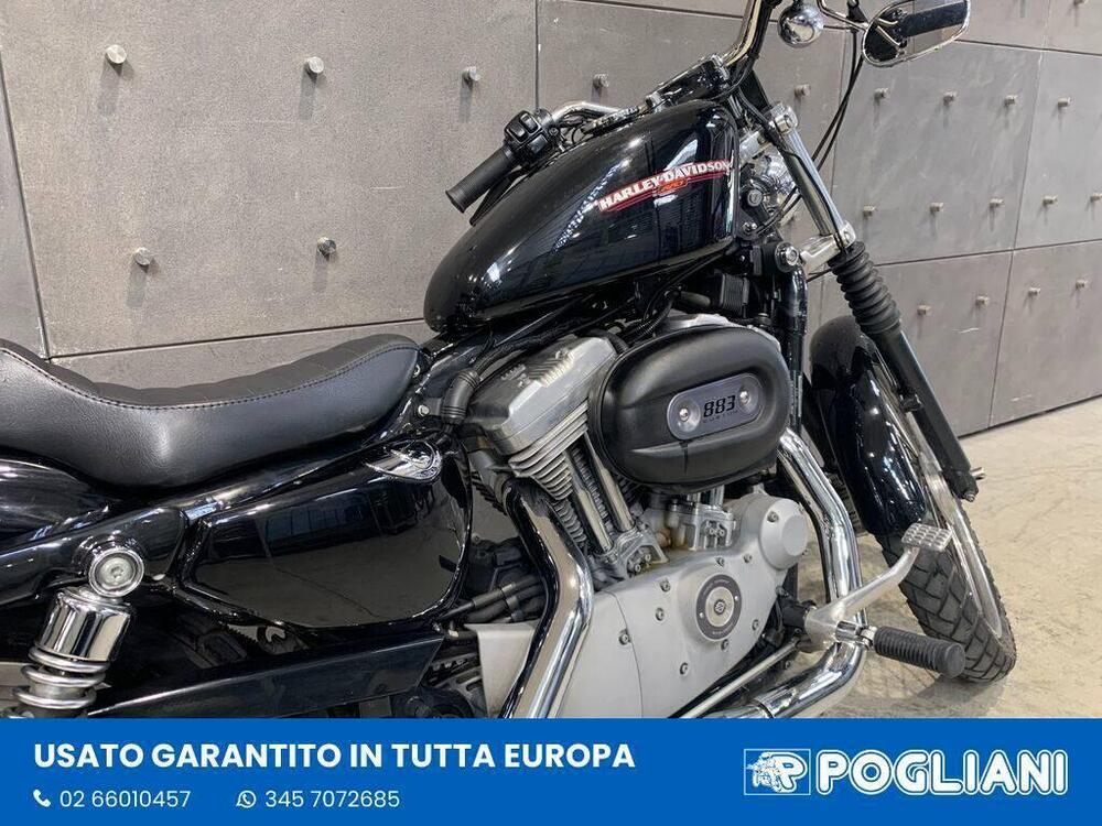 Harley-Davidson 883 Custom (2001 - 05) - XL 53C (6)