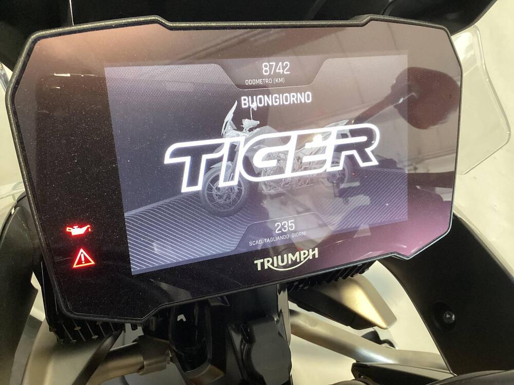 Triumph Tiger 900 Rally Pro (2020 - 23) (5)