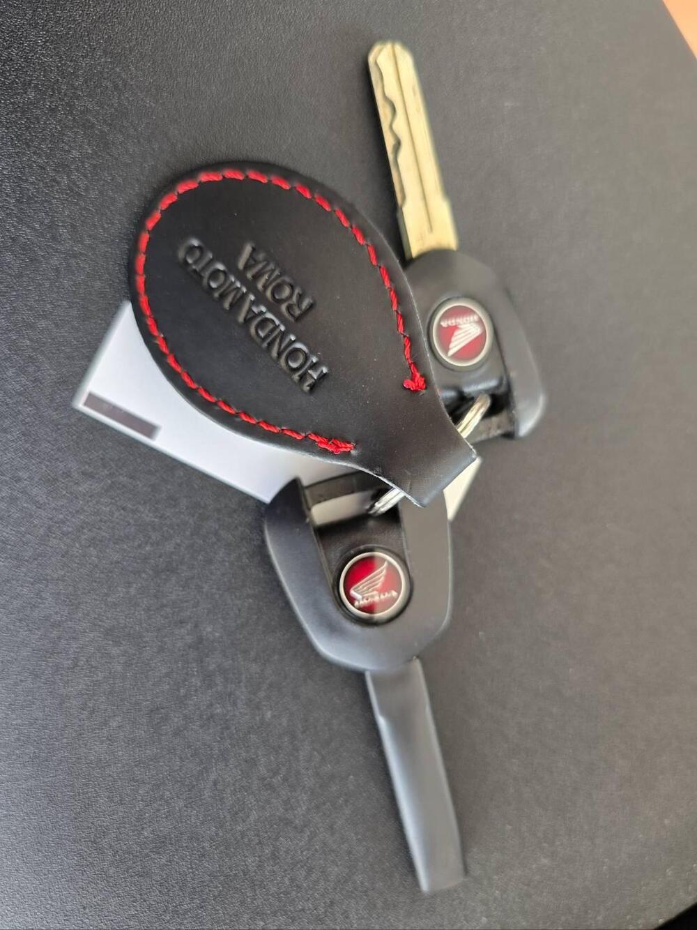 Honda Africa Twin CRF 1100L Travel Edition DCT (2020 - 21) (14)