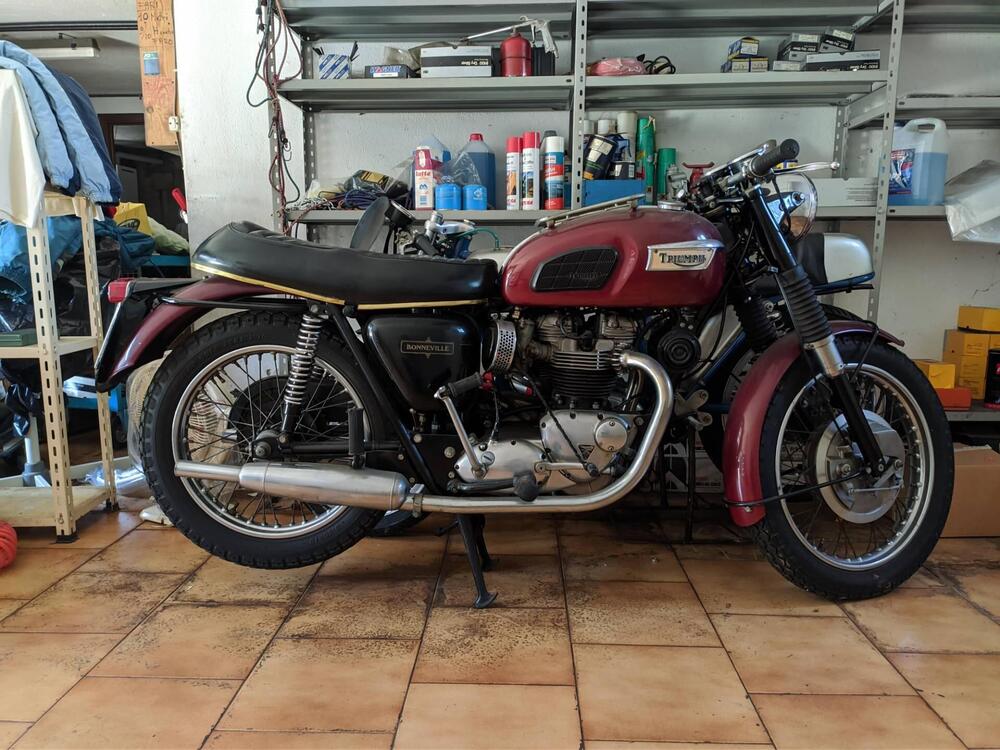 Triumph bonneville