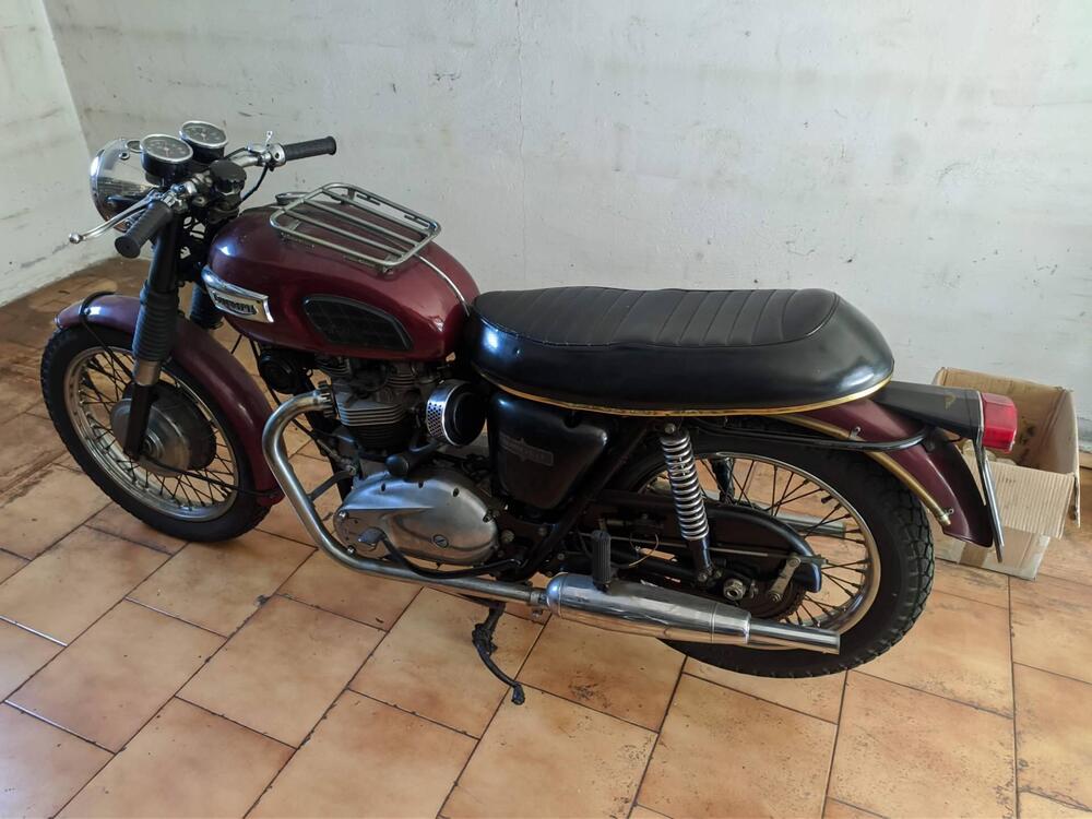Triumph bonneville (2)