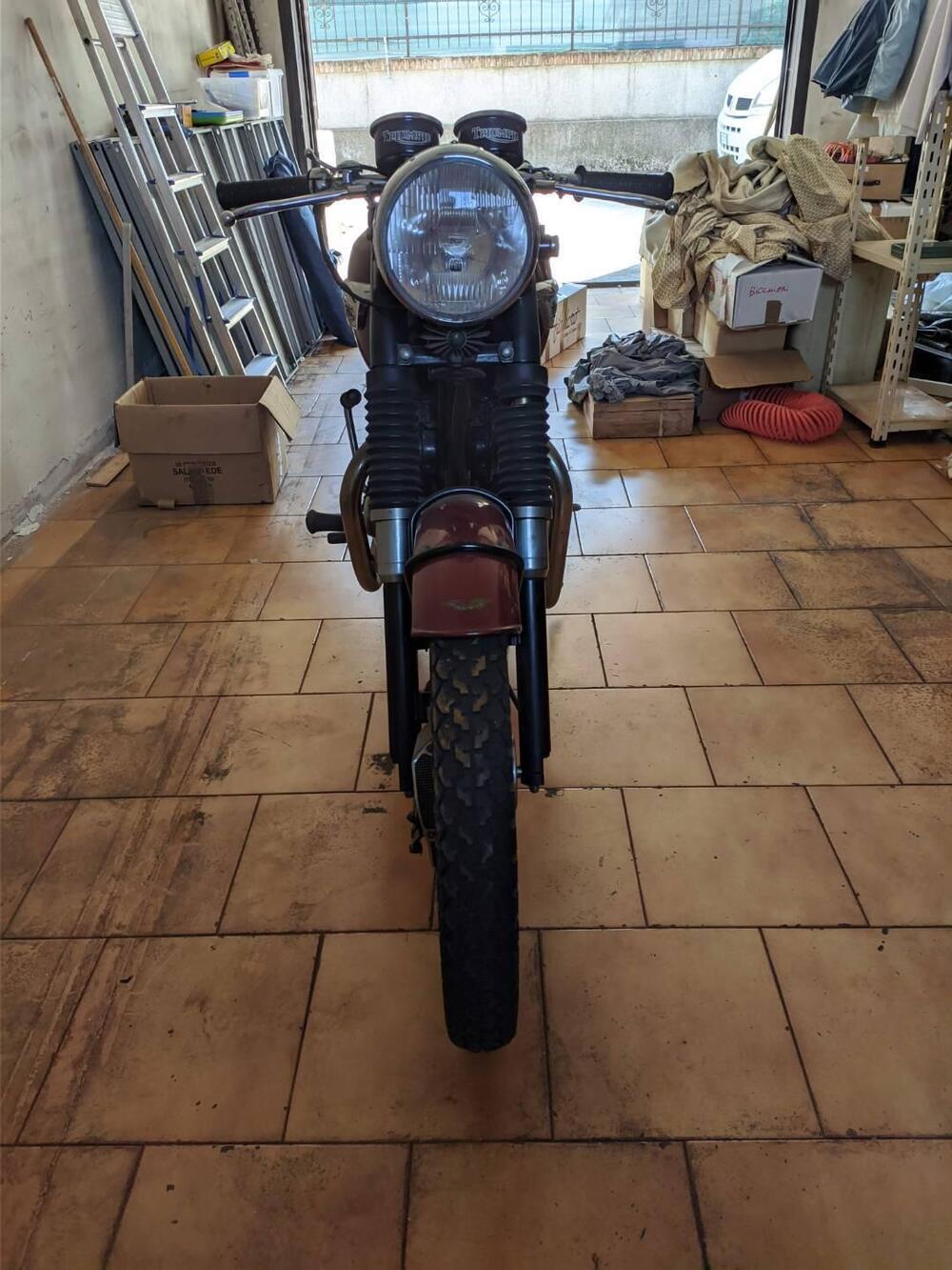 Triumph bonneville (3)