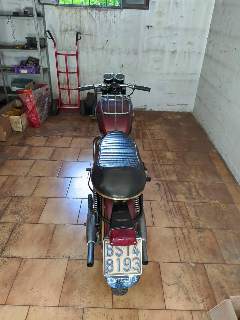 Triumph bonneville (4)