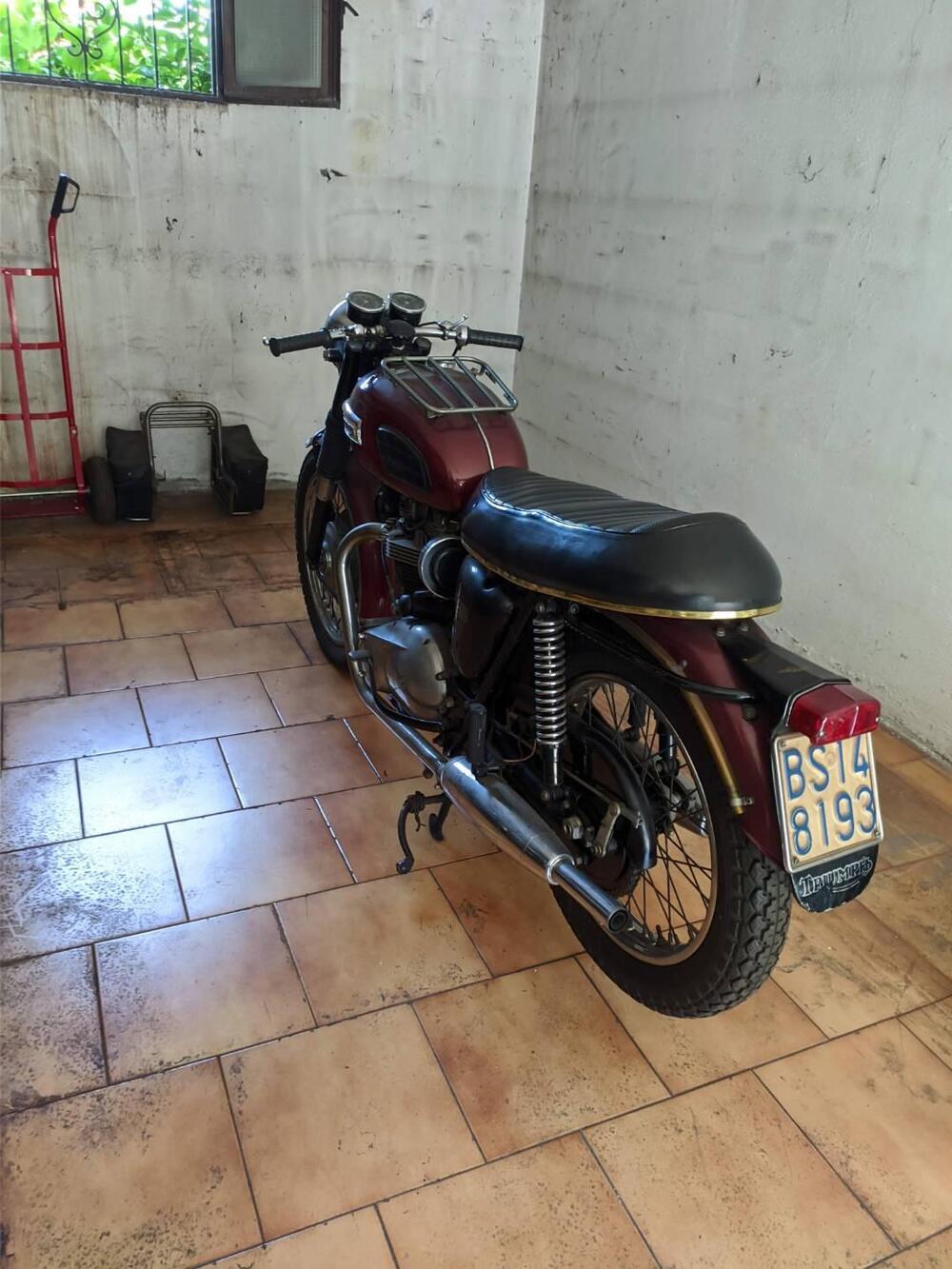 Triumph bonneville (5)