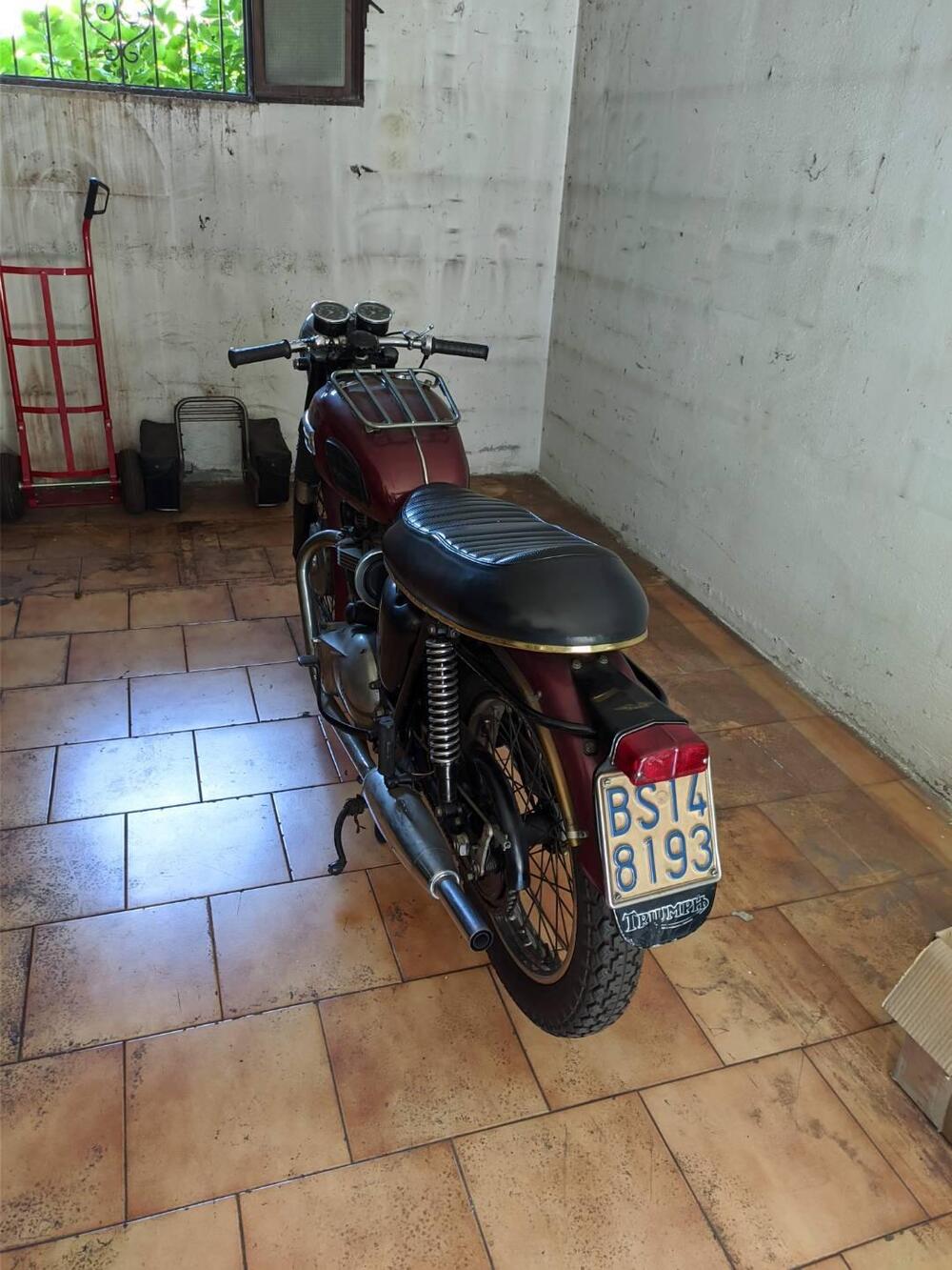 Triumph bonneville (6)