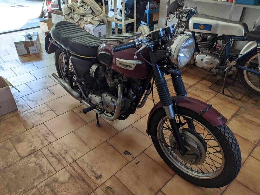 Triumph bonneville (7)