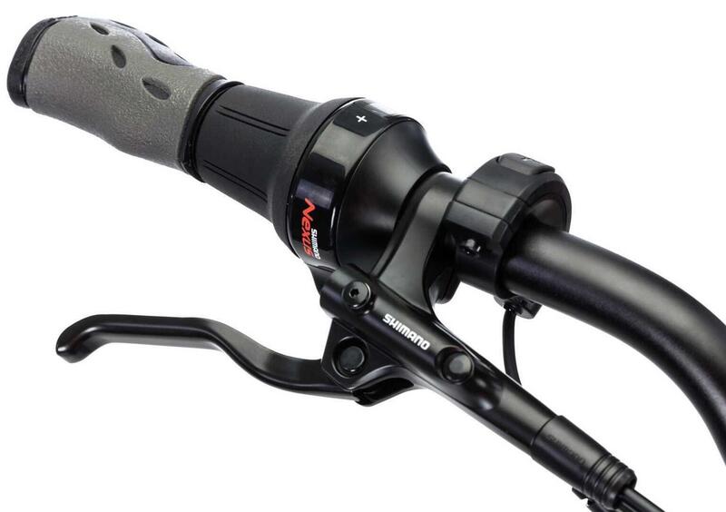 Fantic Motor Issimo Issimo 25 Urban (2022 - 25) (11)