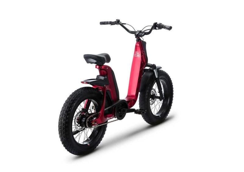 Fantic Motor Issimo Issimo 25 Fun (2022 - 25) (3)