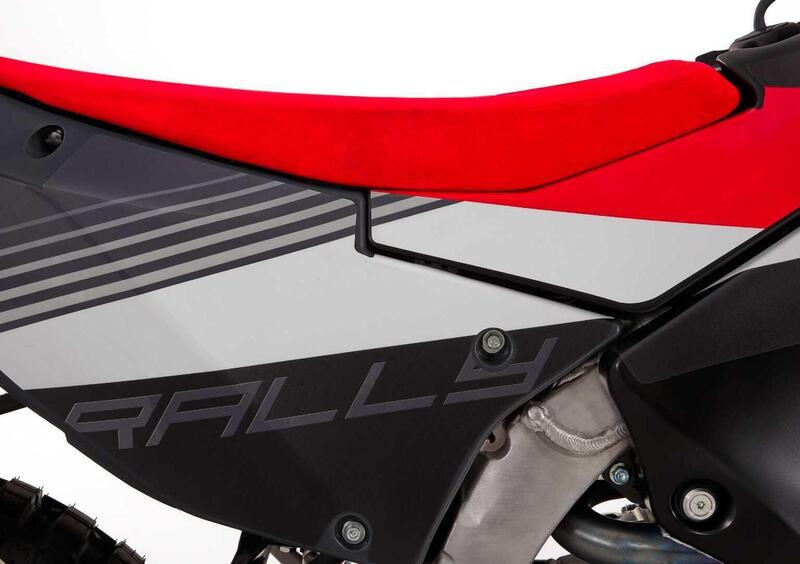 Fantic Motor XEF 450 Rally XEF 450 Rally (2023 - 25) (13)