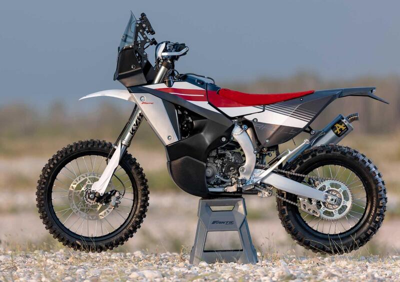 Fantic Motor XEF 450 Rally XEF 450 Rally (2023 - 25) (15)