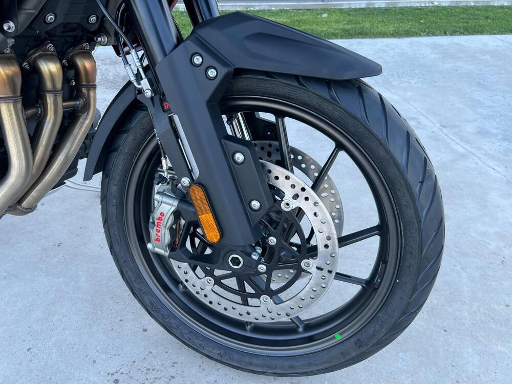 Triumph Tiger 1200 GT Pro (2024 - 25) (5)