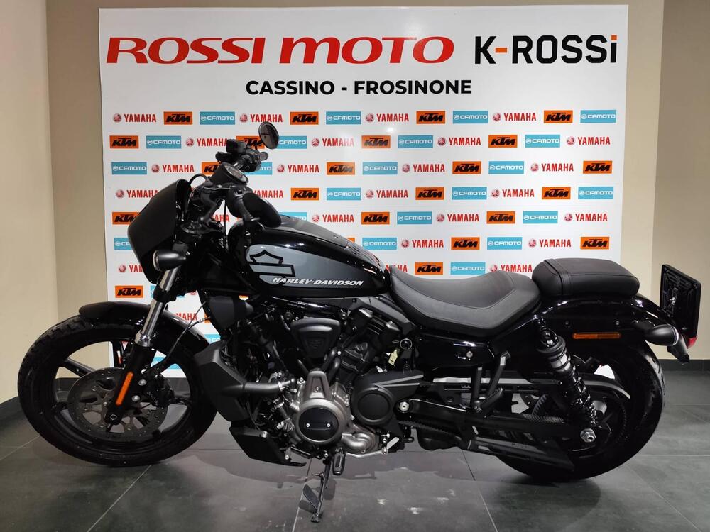 Harley-Davidson Nightster (2023 - 25)