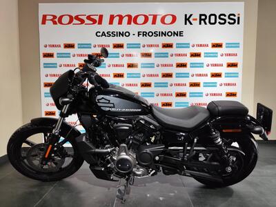 Harley-Davidson Nightster (2023 - 25) usata