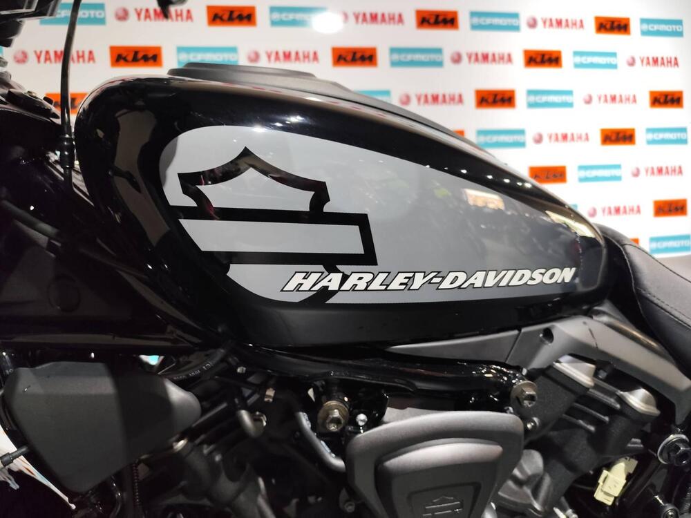 Harley-Davidson Nightster (2023 - 25) (3)