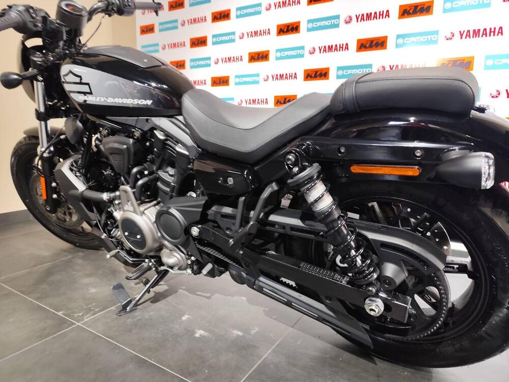Harley-Davidson Nightster (2023 - 25) (4)