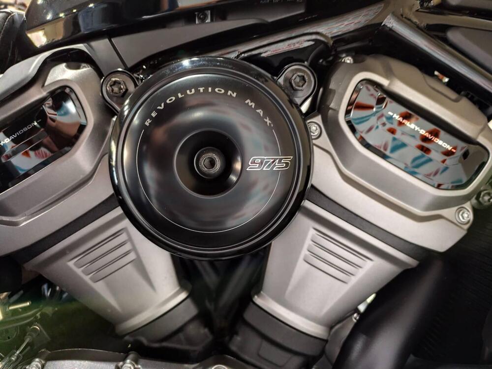 Harley-Davidson Nightster (2023 - 25) (6)