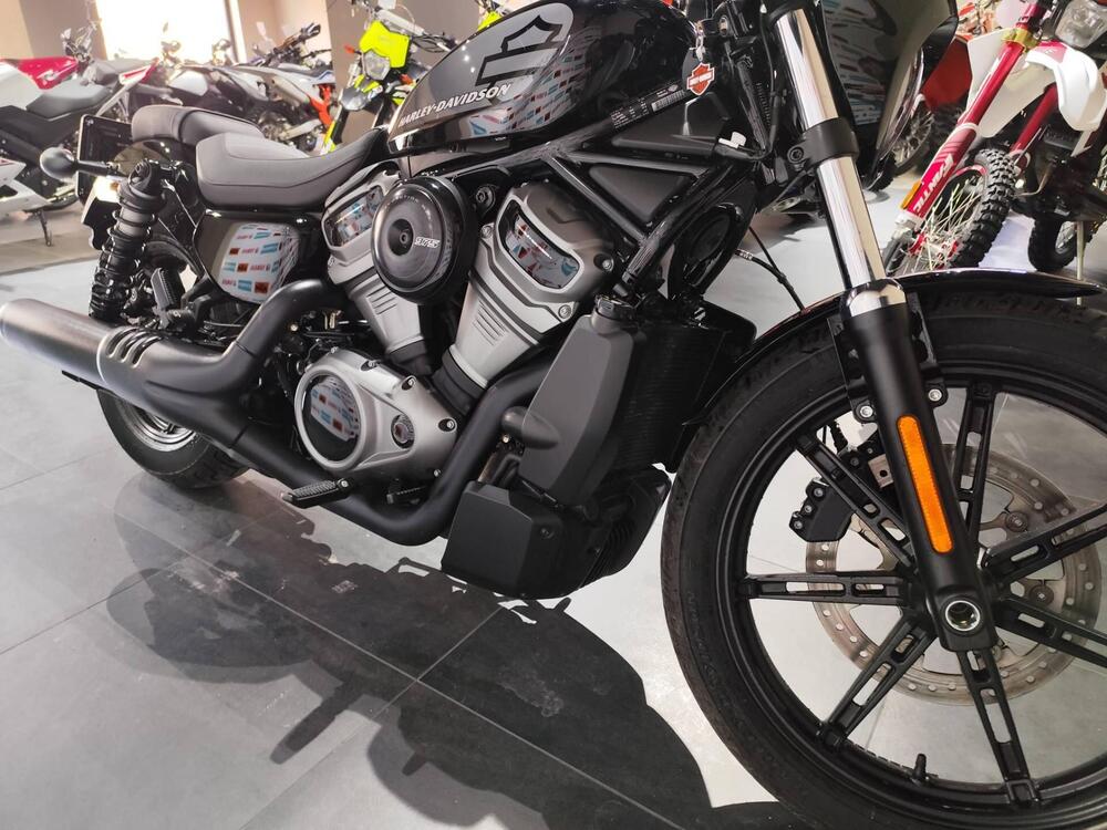 Harley-Davidson Nightster (2023 - 25) (8)