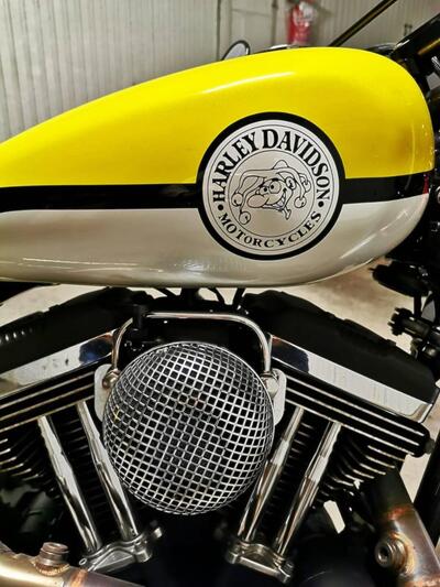 Harley-Davidson 1200 Custom (2004 - 06) - XL 1200C usata