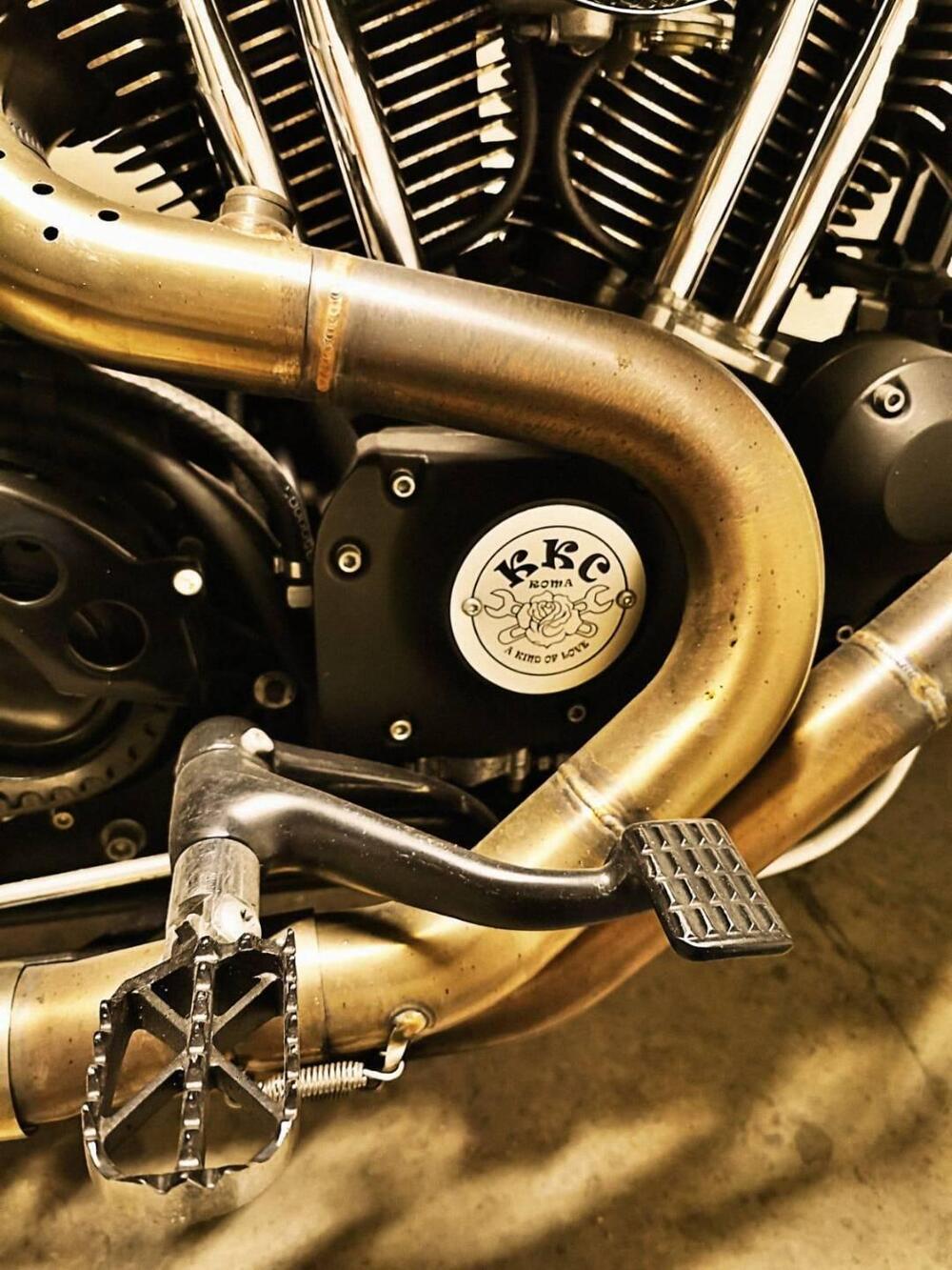 Harley-Davidson 1200 Custom (2004 - 06) - XL 1200C (16)