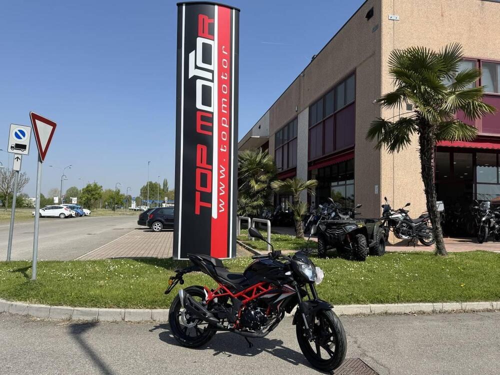 Benelli BN 125 (2021 - 25) (4)