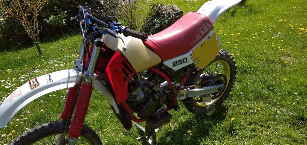 Yamaha yz 250