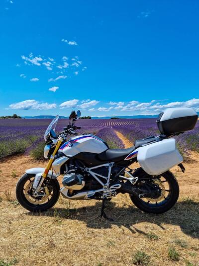 Bmw R 1250 R (2019 - 20) usata