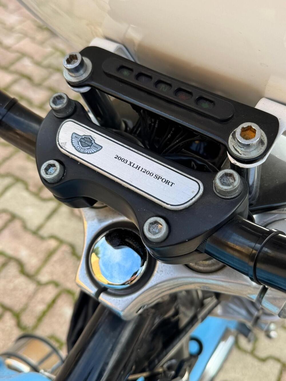 Harley-Davidson 1200 Sport (2001 - 03) - XL 1200S (5)