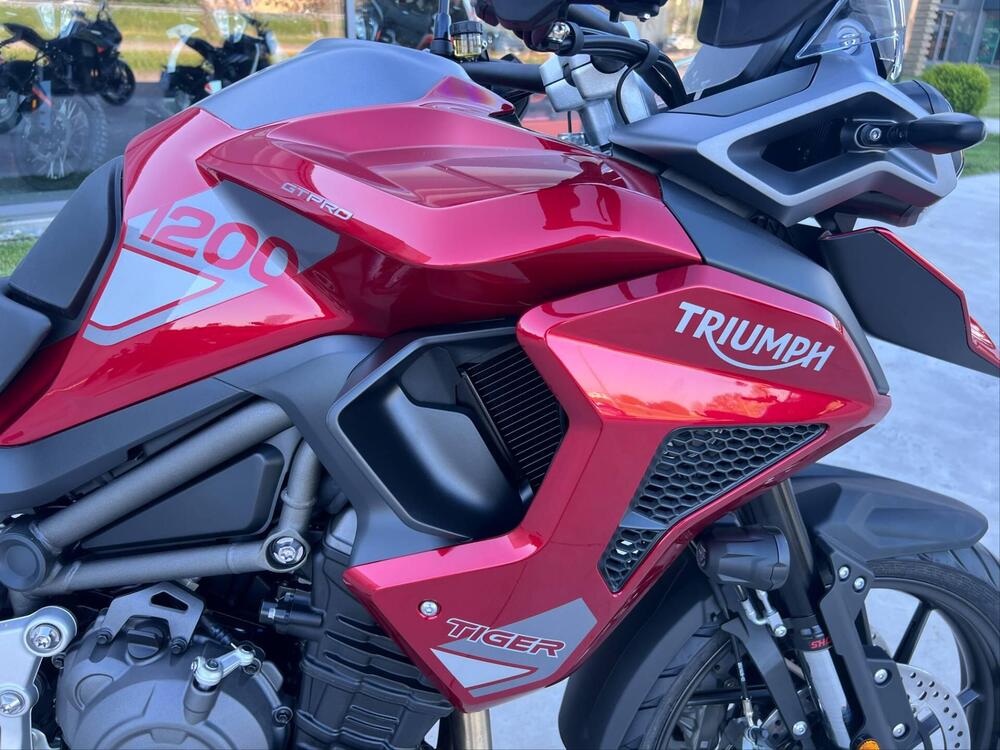 Triumph Tiger 1200 GT Pro (2024 - 25) (2)