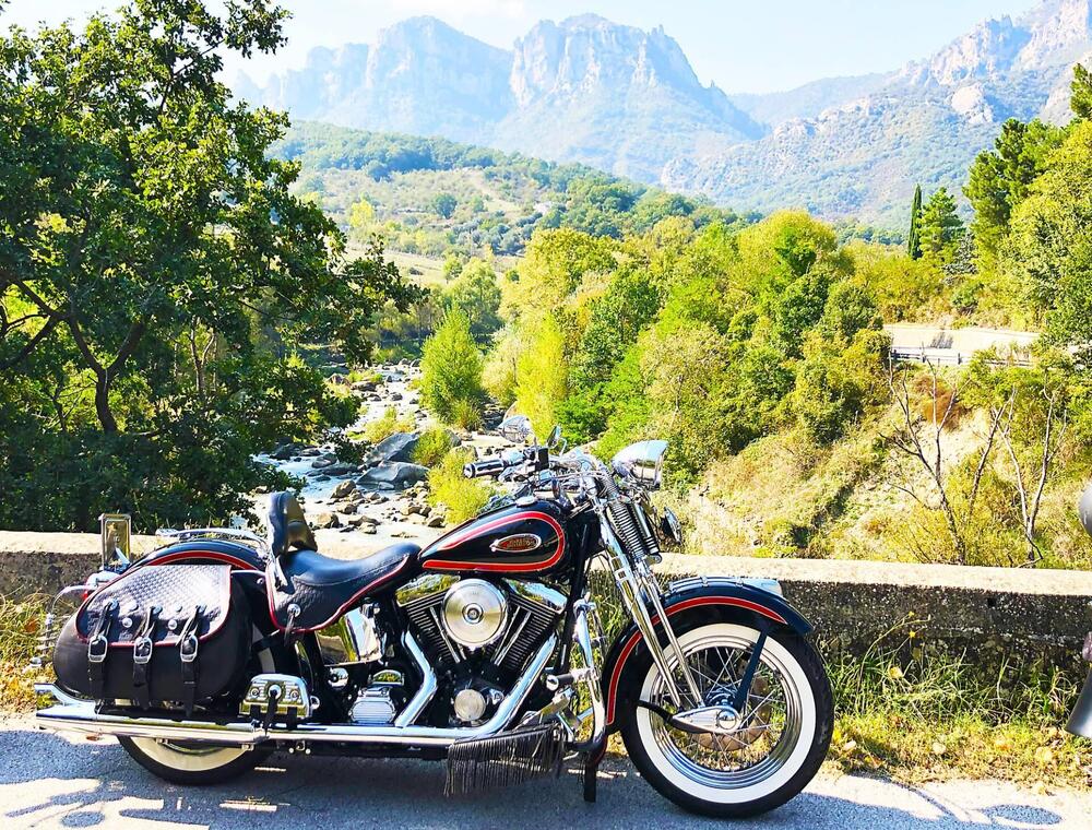 Harley-Davidson 1340 Heritage Springer (1997 - 99) - FLSTS (5)