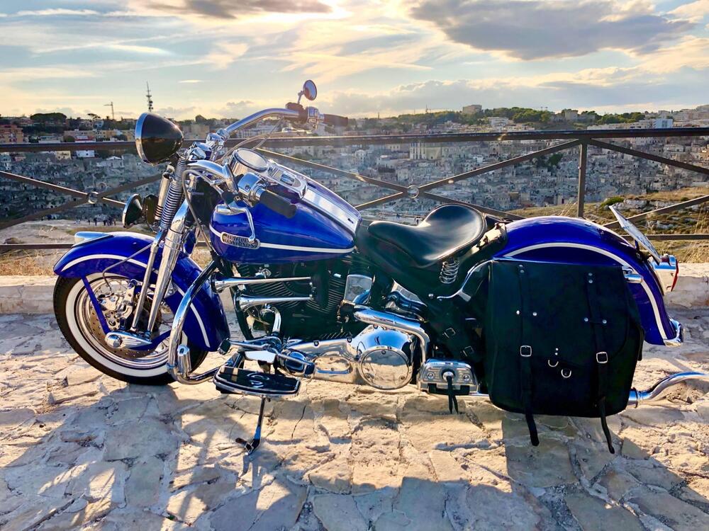 Harley-Davidson 1340 Heritage Springer (1997 - 99) - FLSTS (11)