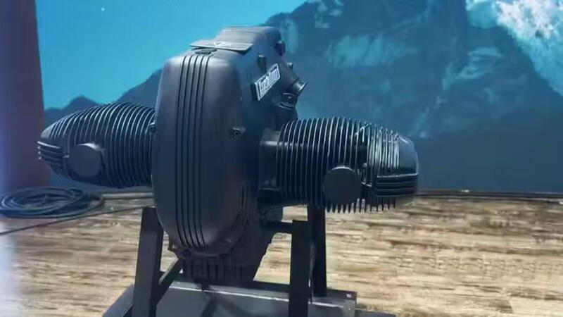 Boxer ad aria s&igrave;, ma cinese