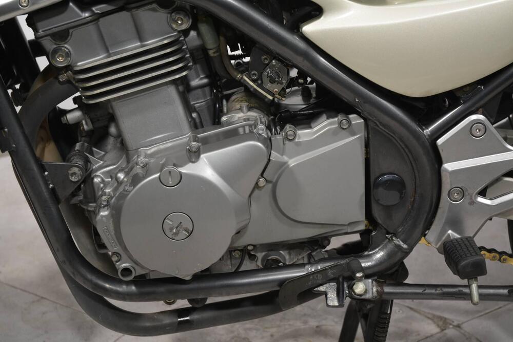 Kawasaki ER-5 500 (2001 - 06) (4)