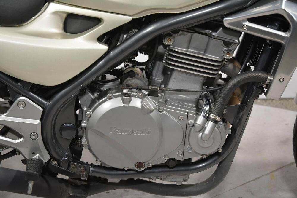 Kawasaki ER-5 500 (2001 - 06) (9)