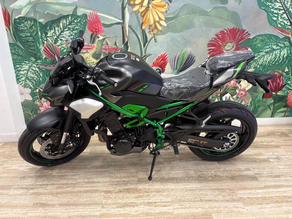 Kawasaki Z 900 (2025 - 26) (2)