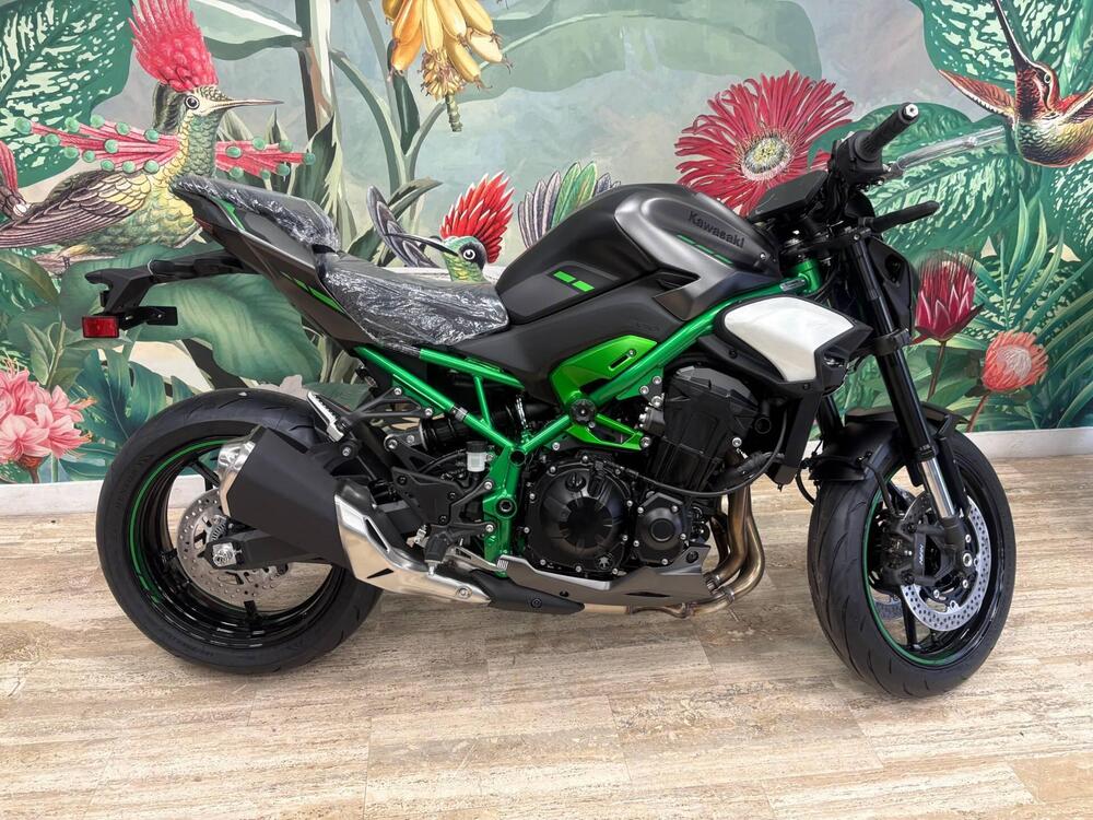 Kawasaki Z 900 (2025 - 26)