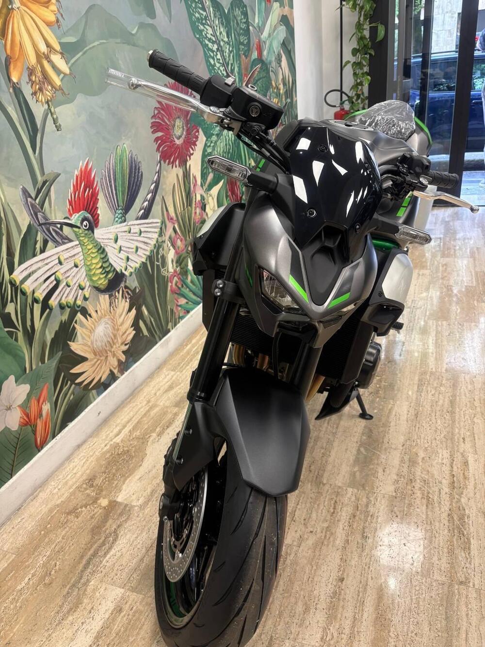 Kawasaki Z 900 (2025 - 26) (6)