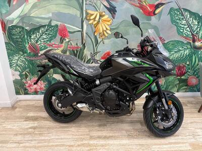 Kawasaki Versys 650 (2025 - 26) nuova