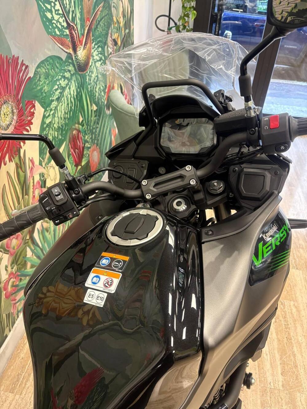 Kawasaki Versys 650 (2025 - 26) (4)