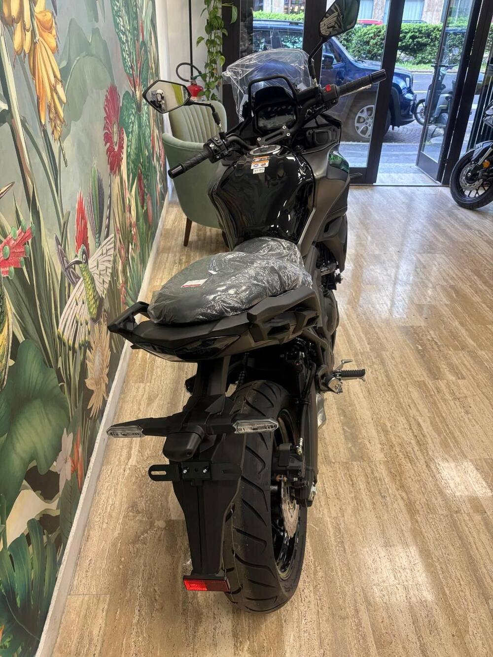 Kawasaki Versys 650 (2025 - 26) (6)