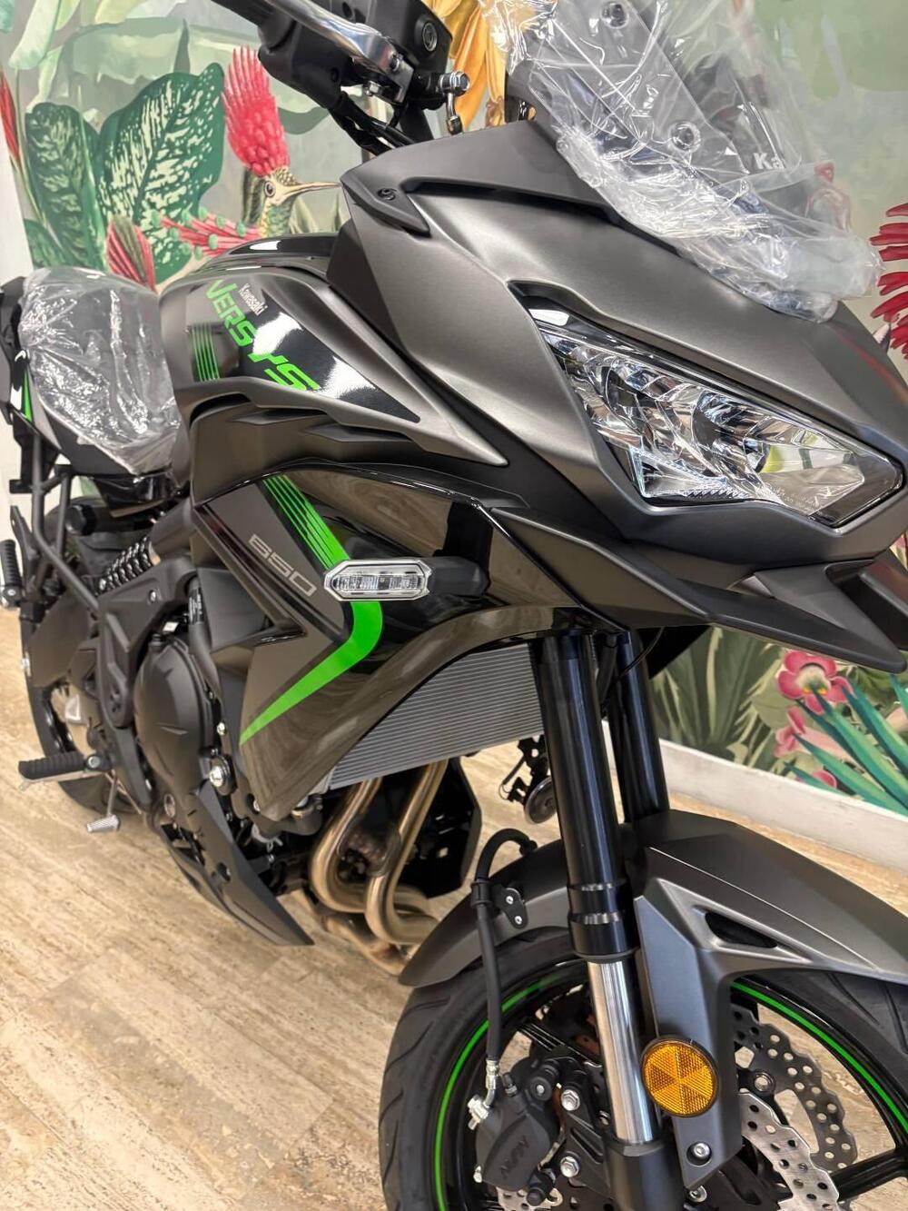 Kawasaki Versys 650 (2025 - 26) (3)