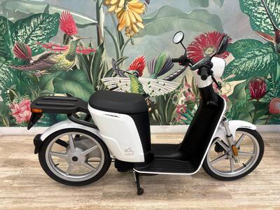 Askoll eS Pro 45 (2019 - 22) usata