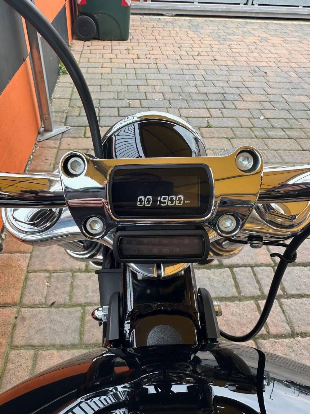 Harley-Davidson Softail Standard (2020) - FXST (8)