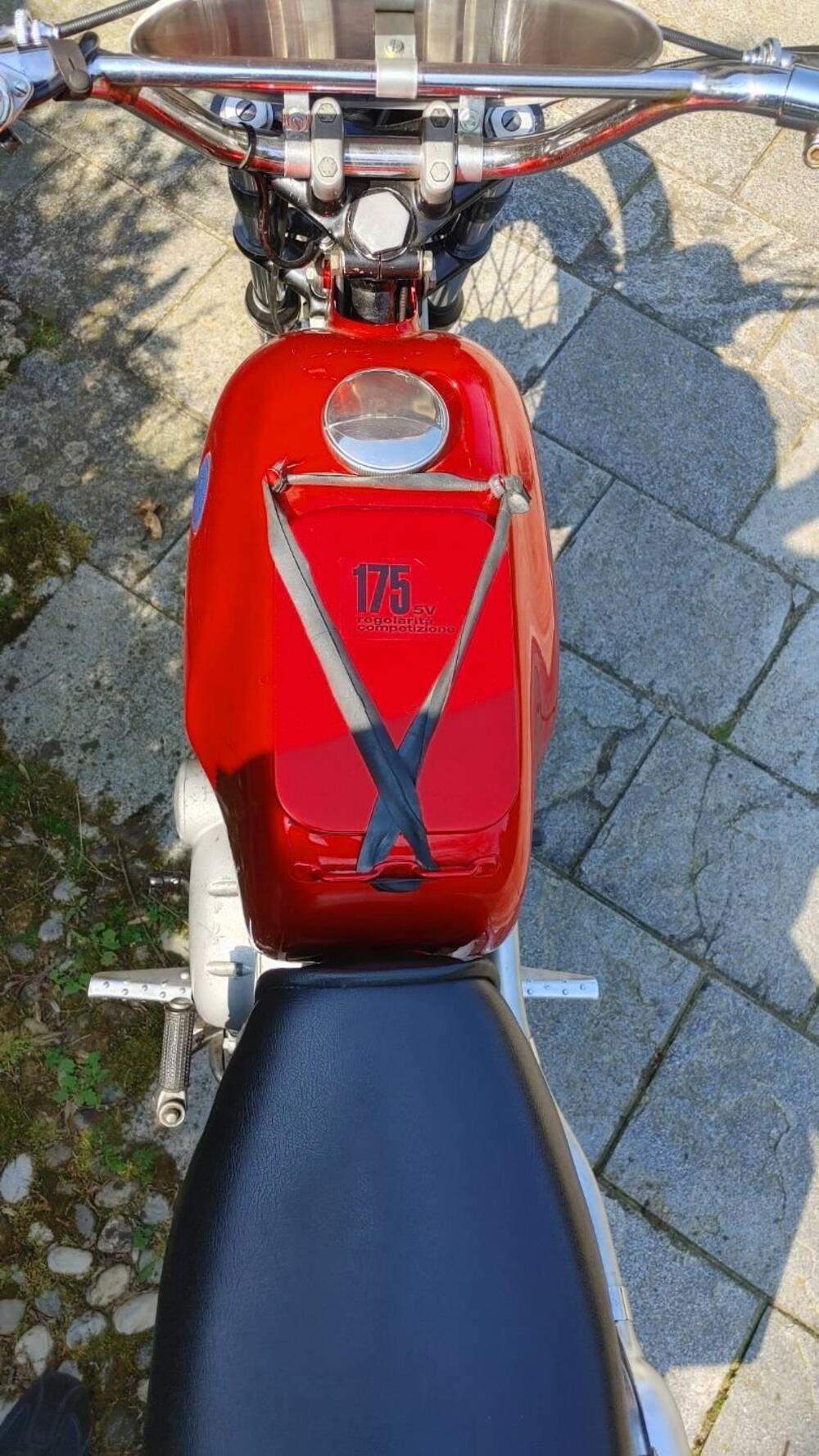 Gilera 175 Regolarità Competizione (4)