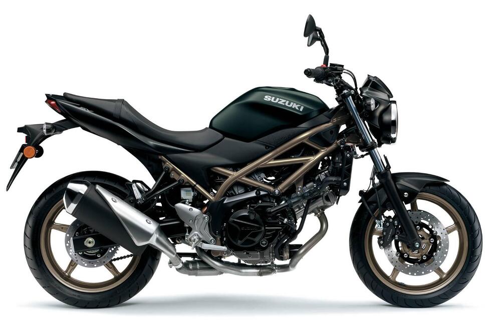 Suzuki SV650 (2025) (2)