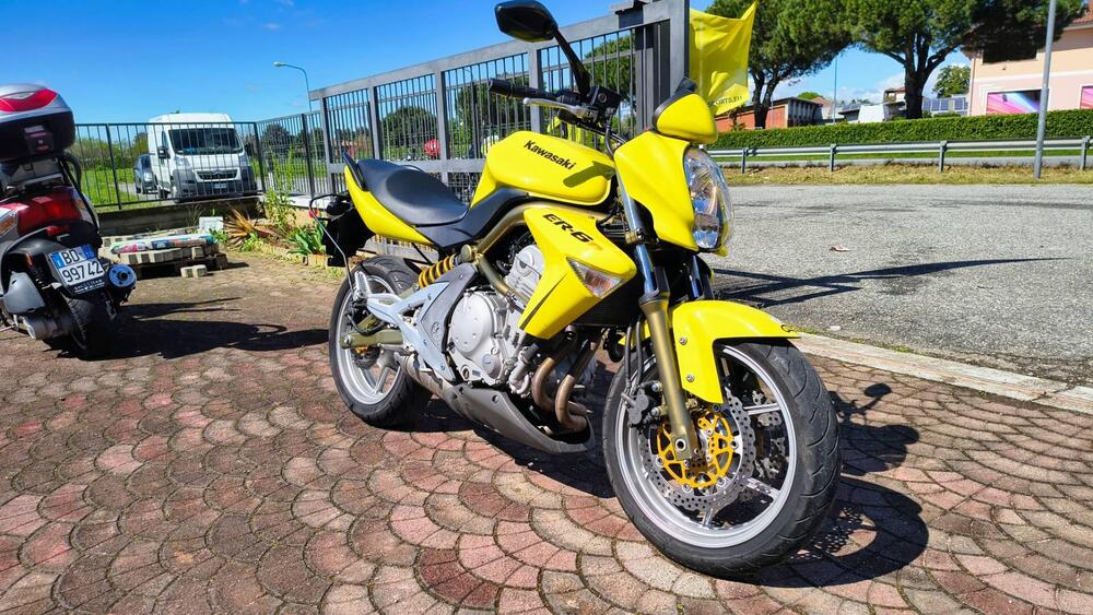 Kawasaki ER-6N (2006 - 09) (4)