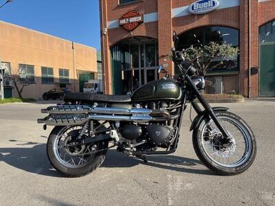 Triumph Scrambler 900 (2023 - 25) usata