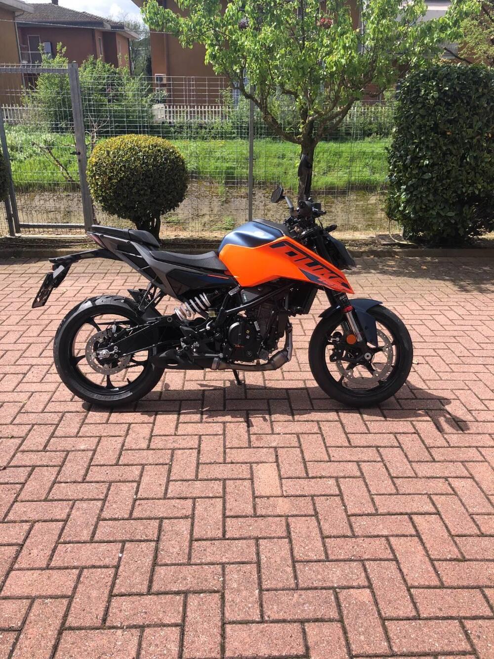 KTM 125 Duke (2024 - 25)